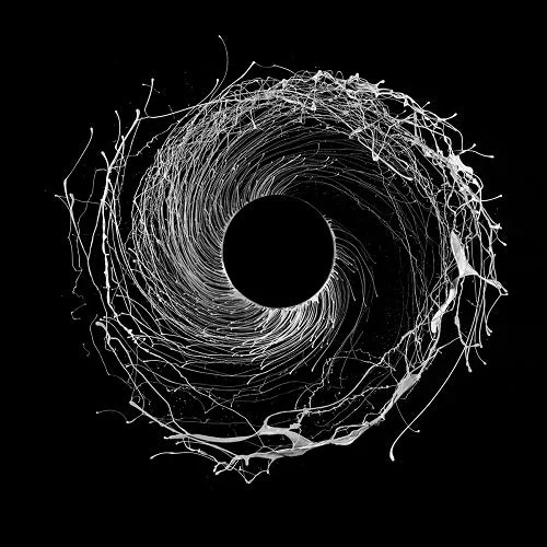 2026_05_08_2878808
