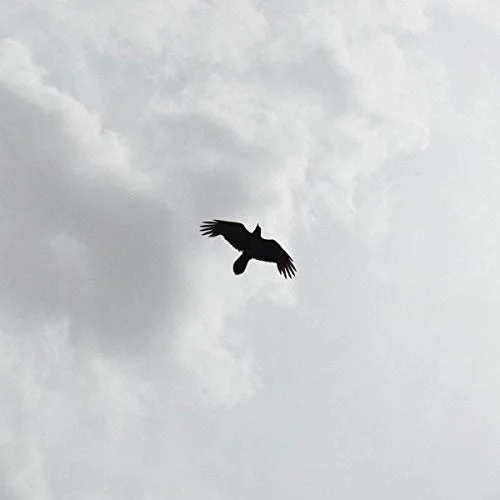 2026_05_09_3047095