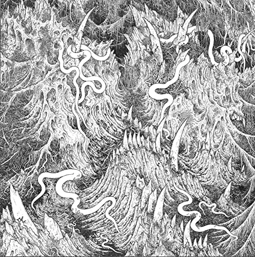 2026_05_10_3315300
