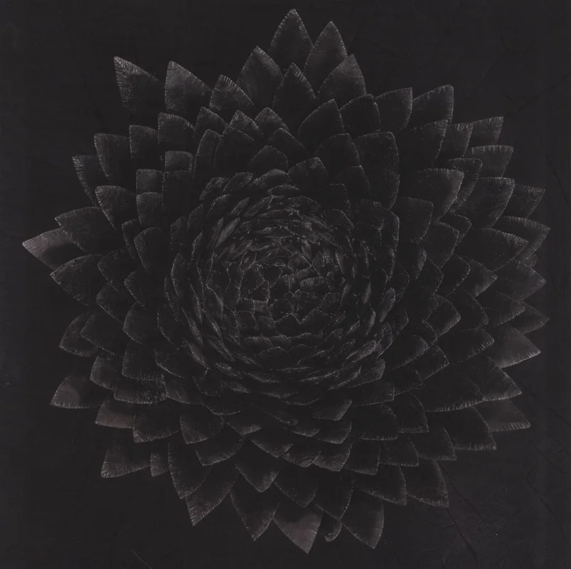 2026_05_13_3844072