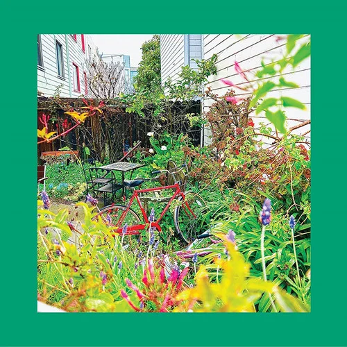 applestumprecords202605080452342852449