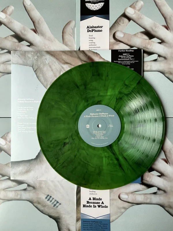 strangerthanparadiserecords202605070956412698167