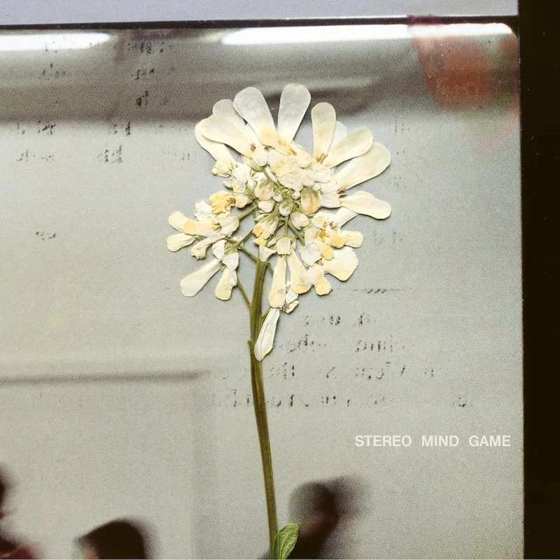 strangerthanparadiserecords202605071113232712396