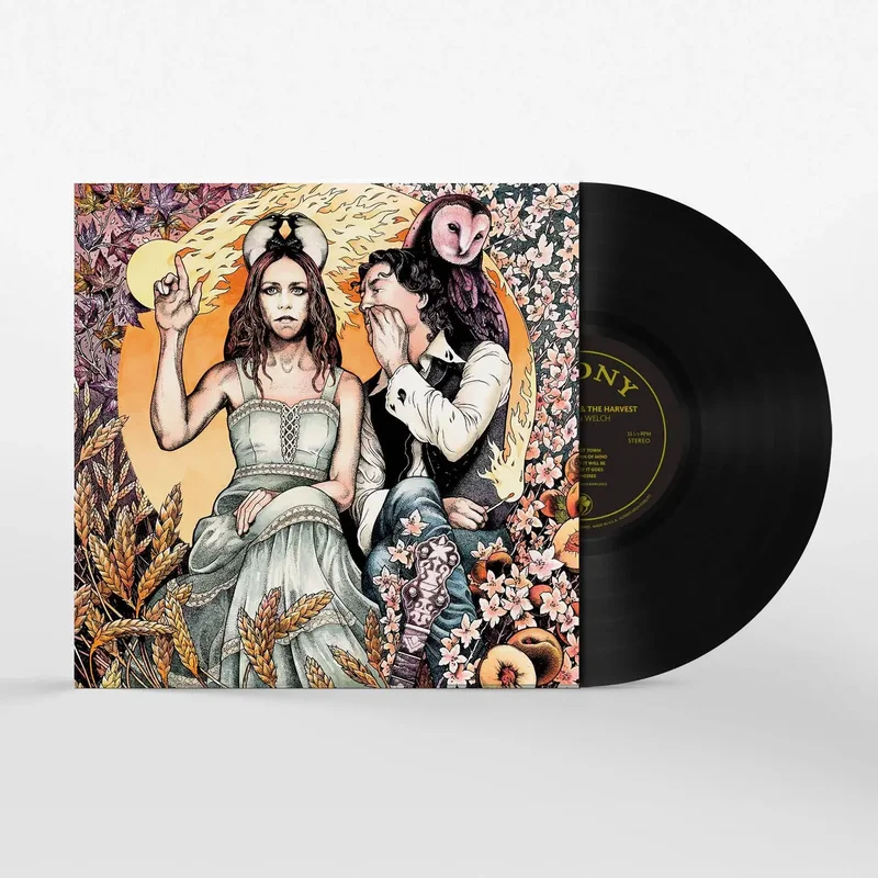 strangerthanparadiserecords202605071205152721344