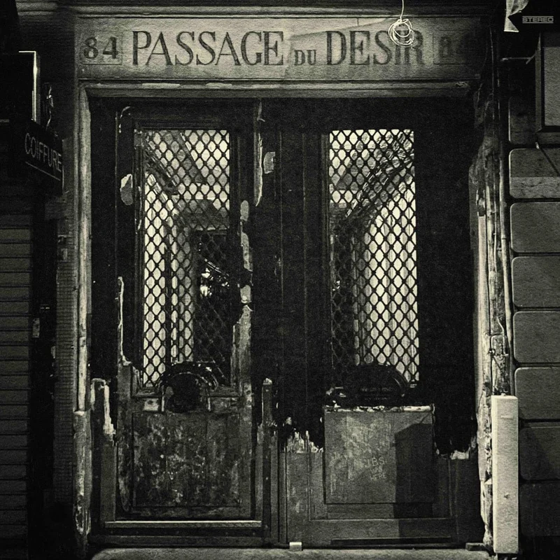 strangerthanparadiserecords202605071242532730807