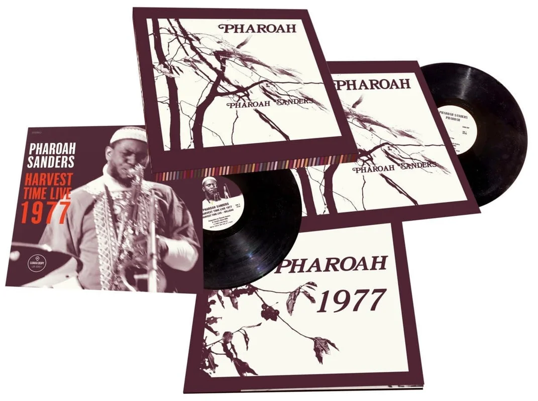 strangerthanparadiserecords202605071421092753447