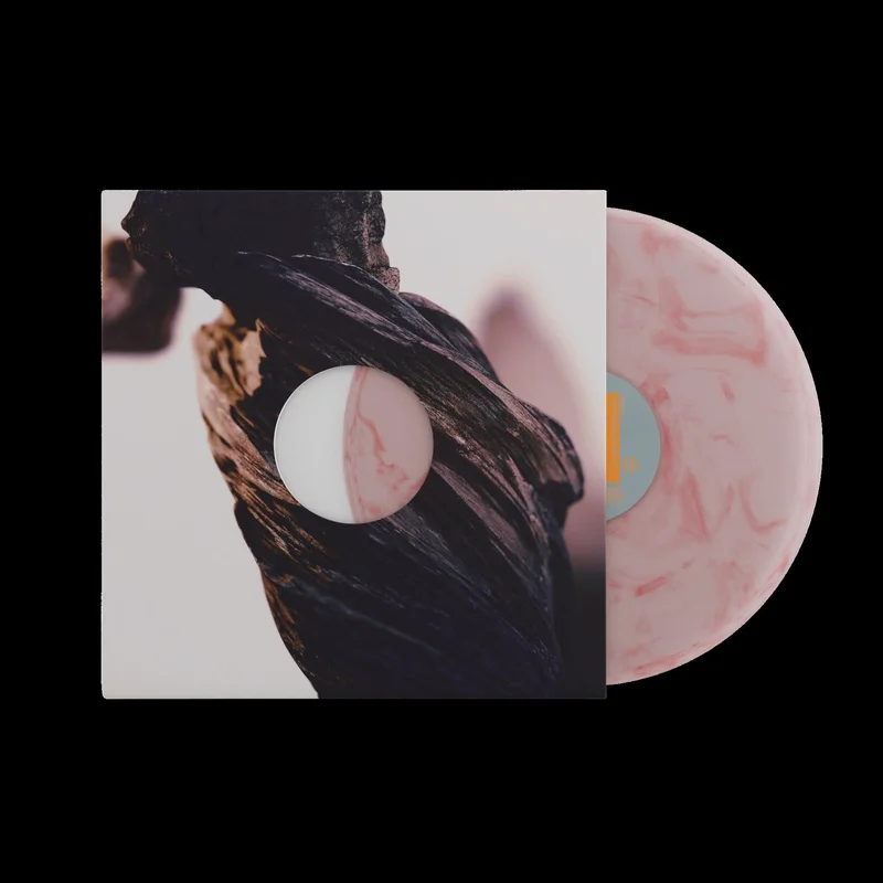 strangerthanparadiserecords202605071424382754120